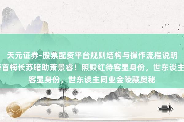天元证券-股票配资平台规则结构与操作流程说明 琅琊榜：琅琊榜首梅长苏暗助萧景睿！照殿红待客显身份，世东谈主同业金陵藏奥秘