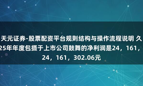 天元证券-股票配资平台规则结构与操作流程说明 久之洋：2025年年度包摄于上市公司鼓舞的净利润是24，161，302.06元