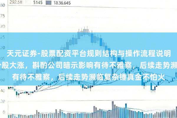 天元证券-股票配资平台规则结构与操作流程说明 甲醇价钱飙升带动个股大涨，斟酌公司暗示影响有待不雅察，后续走势濒临复杂锤真金不怕火