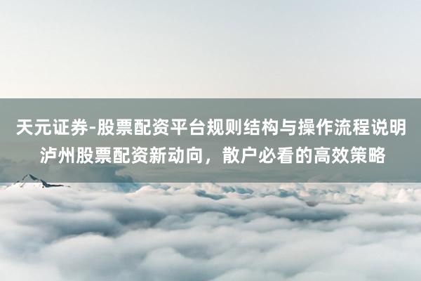天元证券-股票配资平台规则结构与操作流程说明 泸州股票配资新动向，散户必看的高效策略