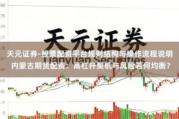 天元证券-股票配资平台规则结构与操作流程说明 内蒙古期货配资:高杠杆契机与风险若何均衡?
