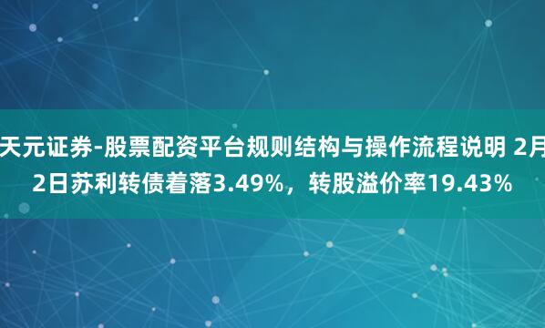天元证券-股票配资平台规则结构与操作流程说明 2月2日苏利转债着落3.49%，转股溢价率19.43%