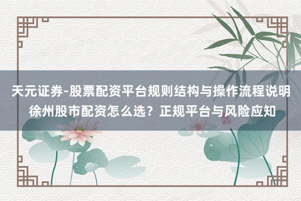 天元证券-股票配资平台规则结构与操作流程说明 徐州股市配资怎么选？正规平台与风险应知