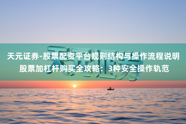 天元证券-股票配资平台规则结构与操作流程说明 股票加杠杆购买全攻略：3种安全操作轨范