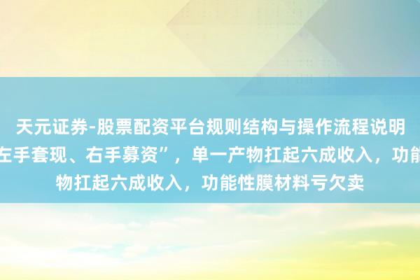 天元证券-股票配资平台规则结构与操作流程说明 鼎泰高科演出“左手套现、右手募资”，单一产物扛起六成收入，功能性膜材料亏欠卖
